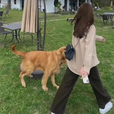 被越南之风吹过